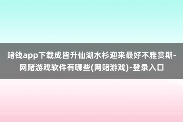 赌钱app下载成皆升仙湖水杉迎来最好不雅赏期-网赌游戏软件有哪些(网赌游戏)-登录入口