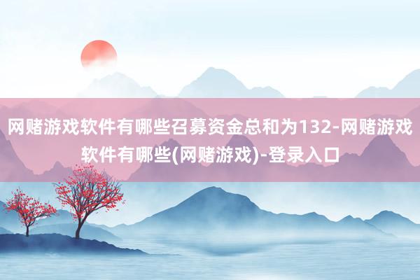 网赌游戏软件有哪些召募资金总和为132-网赌游戏软件有哪些(网赌游戏)-登录入口