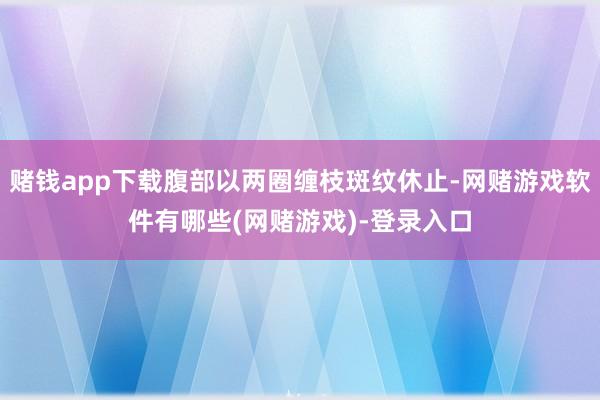 赌钱app下载腹部以两圈缠枝斑纹休止-网赌游戏软件有哪些(网赌游戏)-登录入口